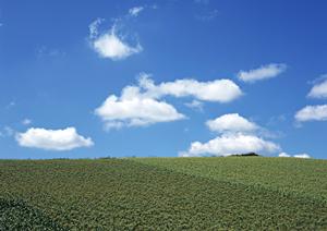 静岡市葬祭の安心と信頼を提供する富士葬祭 瀬名：家族や一般葬をサポートする多彩なプランと高品質な施設