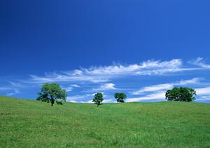 栃木県宇都宮市の家族葬・一般葬に最適な葬儀場『さがみ典礼 滝の原』の詳細ガイド