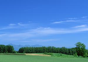 富士葬祭 藤枝御苑:地域密着型の家族葬とモダンな葬儀場の魅力