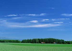 静岡市清水区の安心・信頼の葬儀場【富士葬祭 清水】で心を込めたお見送りを実現