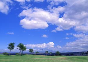 静岡市葵区に新規オープン！家族葬に最適な「家族葬のタクセル沓谷」の全て