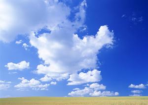 静岡県藤枝市に新オープン！家族葬に最適な「家族葬のタクセル岡出山」の特徴と利用メリット