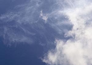 静岡県浜松市中央区に新オープン！家族葬に最適な家族葬のタクセル有玉南町の特徴と概要