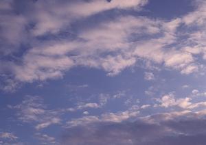 静岡・浜松の家族葬・小規模葬儀を安心サポート！富士葬祭浜北沼の魅力と特徴をご紹介