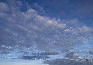 【2024年最新版】ティア越谷の特徴と魅力：安心の葬儀サービスと店舗情報の詳細解説